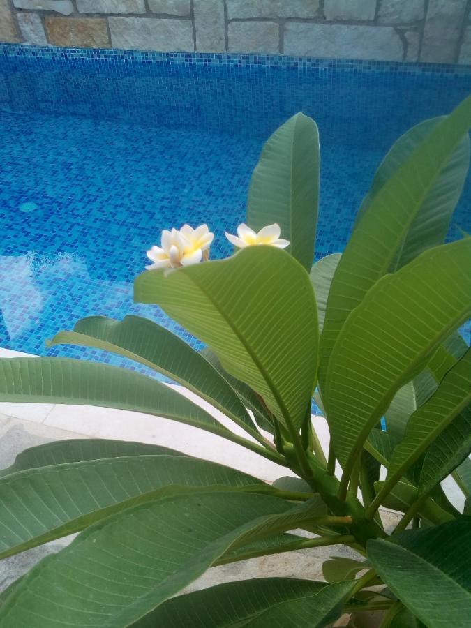 “Theeporto” Maisonette With Pool Gouves Exterior foto